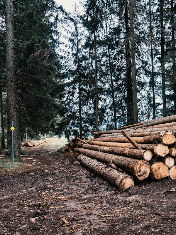 Industry thumb forestry Industry thumb forestry
